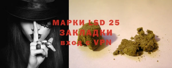 прущие грибы Сосновоборск
