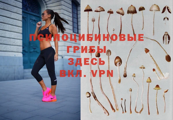 mdpv Белоозёрский