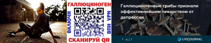 магазин продажи наркотиков  Волчанск  OMG ссылки  Галлюциногенные грибы мицелий 
